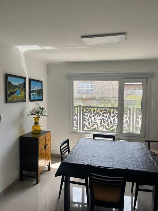 Turine Apartment Junin de los Andes
